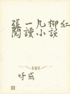 张一凡柳红免费阅读小说