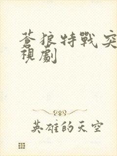 苍狼特战突击电视剧封面