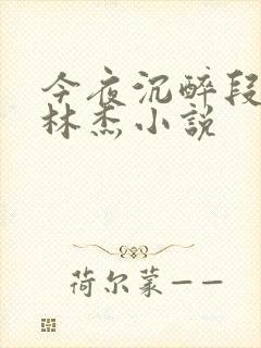 今夜沉醉段雪娇林杰小说