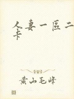 人妻一区二区不卡封面