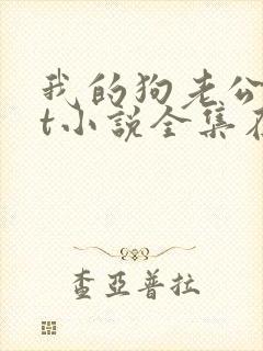 我的狗老公txt小说全集在线阅读封面