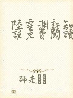 陆霆渊许知夏小说免费阅读最新章节