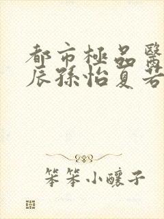 都市极品医神叶辰孙怡夏若雪小说阅