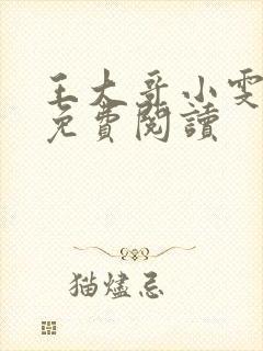 王大哥小雯小说免费阅读