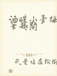 酒酿小青梅po笔趣阁