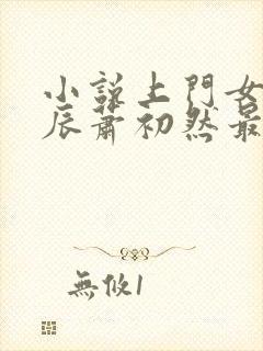 小说上门女婿叶辰萧初然最新篇章封面