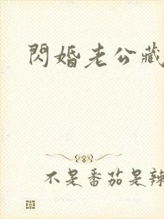 闪婚老公藏不住