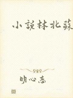 小说林北苏婉