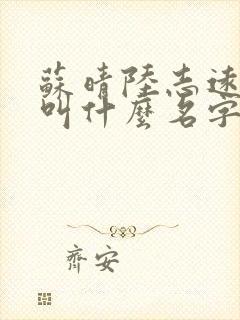 苏晴陆志远小说叫什么名字啊