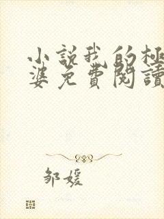 小说我的极品老婆免费阅读全文封面