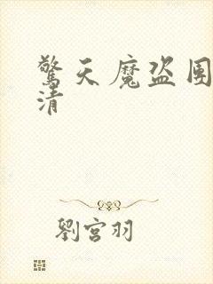 惊天魔盗团2高清