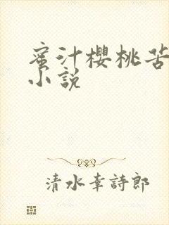 蜜汁樱桃苦咖啡小说