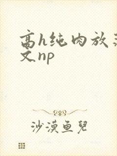 高h纯肉放荡h文np
