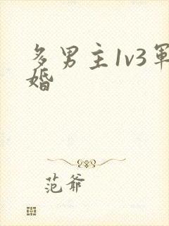 多男主1v3军婚
