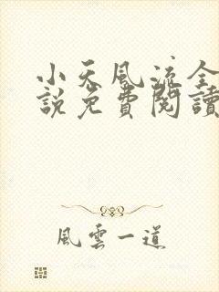 小天风流全集小说免费阅读