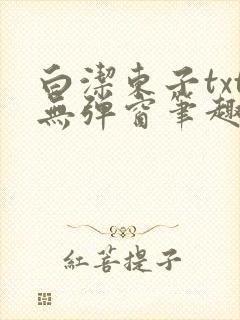 白洁东子txt无弹窗笔趣阁