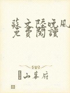 苏文陆晚风最新免费阅读