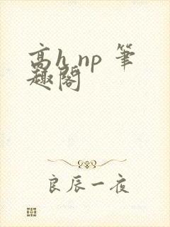 高h np 笔趣阁封面