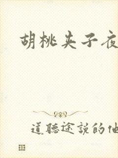胡桃夹子夜未眠