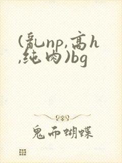 (乱np,高h,纯肉)bg