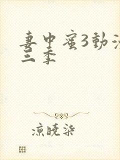 妻中蜜3动漫全三季