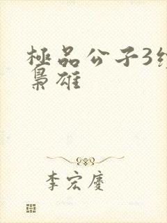 极品公子3续世枭雄