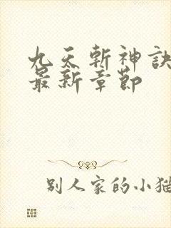 九天斩神诀小说最新章节