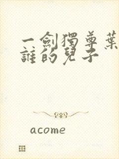 一剑独尊叶玄是谁的儿子