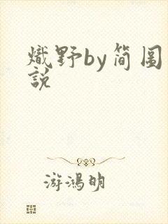 炽野by简图小说