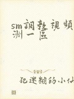 sm调教视频亚洲一区