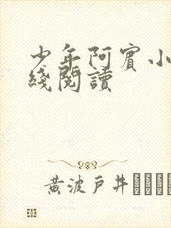 少年阿宾小说在线阅读