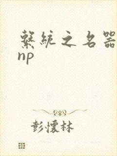 系统之名器攻略np