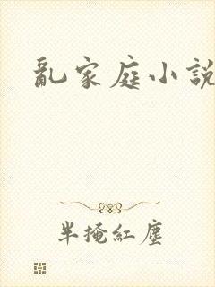 乱家庭小说封面