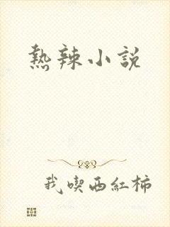 热辣小说