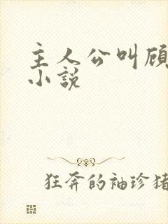 主人公叫顾辞的小说