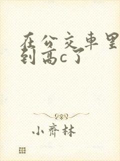 在公交车里c弄到高c了