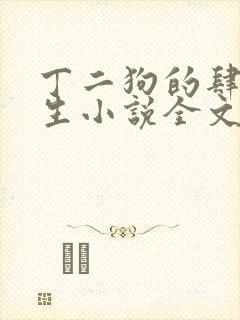 丁二狗的肆意人生小说全文听封面