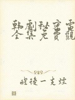 韩剧秘密电视剧全集免费观看高清在线封面