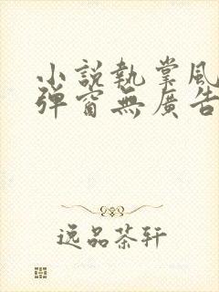 小说执掌风云无弹窗无广告封面