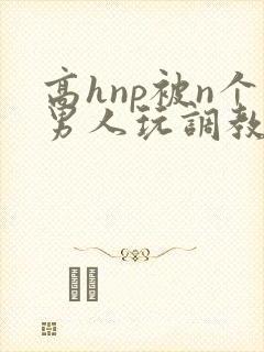 高hnp被n个男人玩调教封面