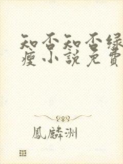 知否知否绿肥红瘦小说免费阅读