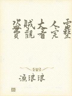 盗贼大人电影免费观看完整版高清