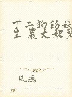 丁二狗的妖孽人生 严大妮儿 小说封面