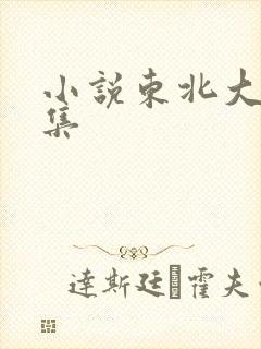 小说东北大炕全集