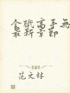 全职高手无弹窗最新章节