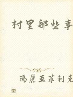 村里那些事封面