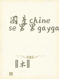 国产chinese男男gaygay无套