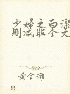 少妇之白洁2无删减版全文阅读