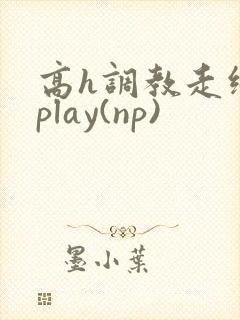 高h调教走绳 play(np)封面