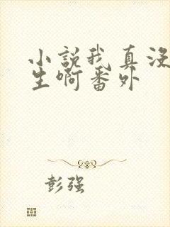 小说我真没想重生啊番外